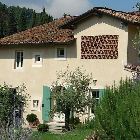 Agriturismo Mareli Villa Camaiore Ngoại thất bức ảnh