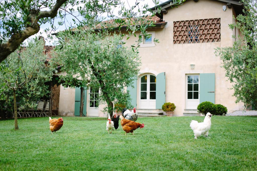 Agriturismo Mareli Villa Camaiore Ngoại thất bức ảnh